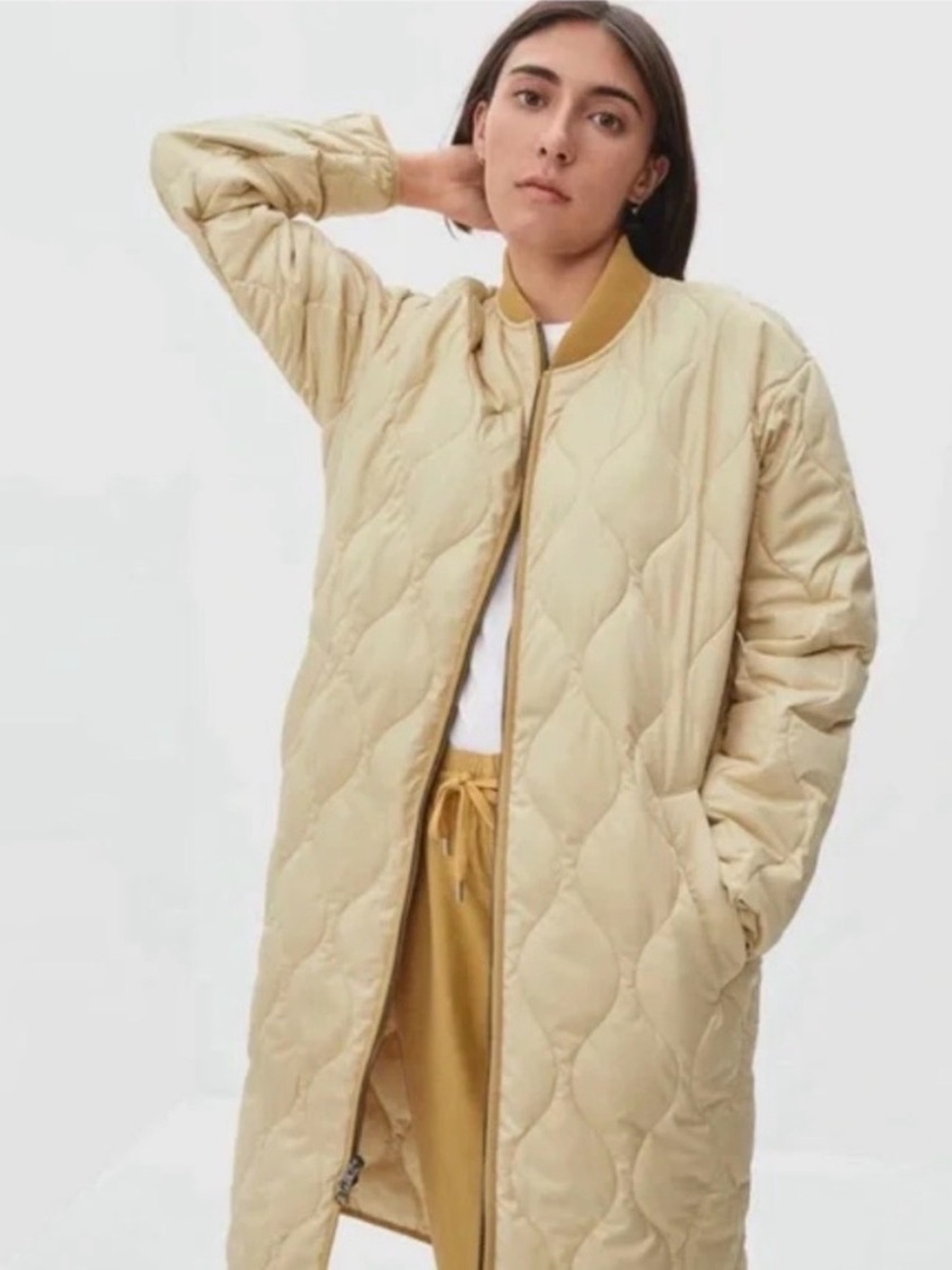Everlane Long Quilted Puffer Coat in Beige